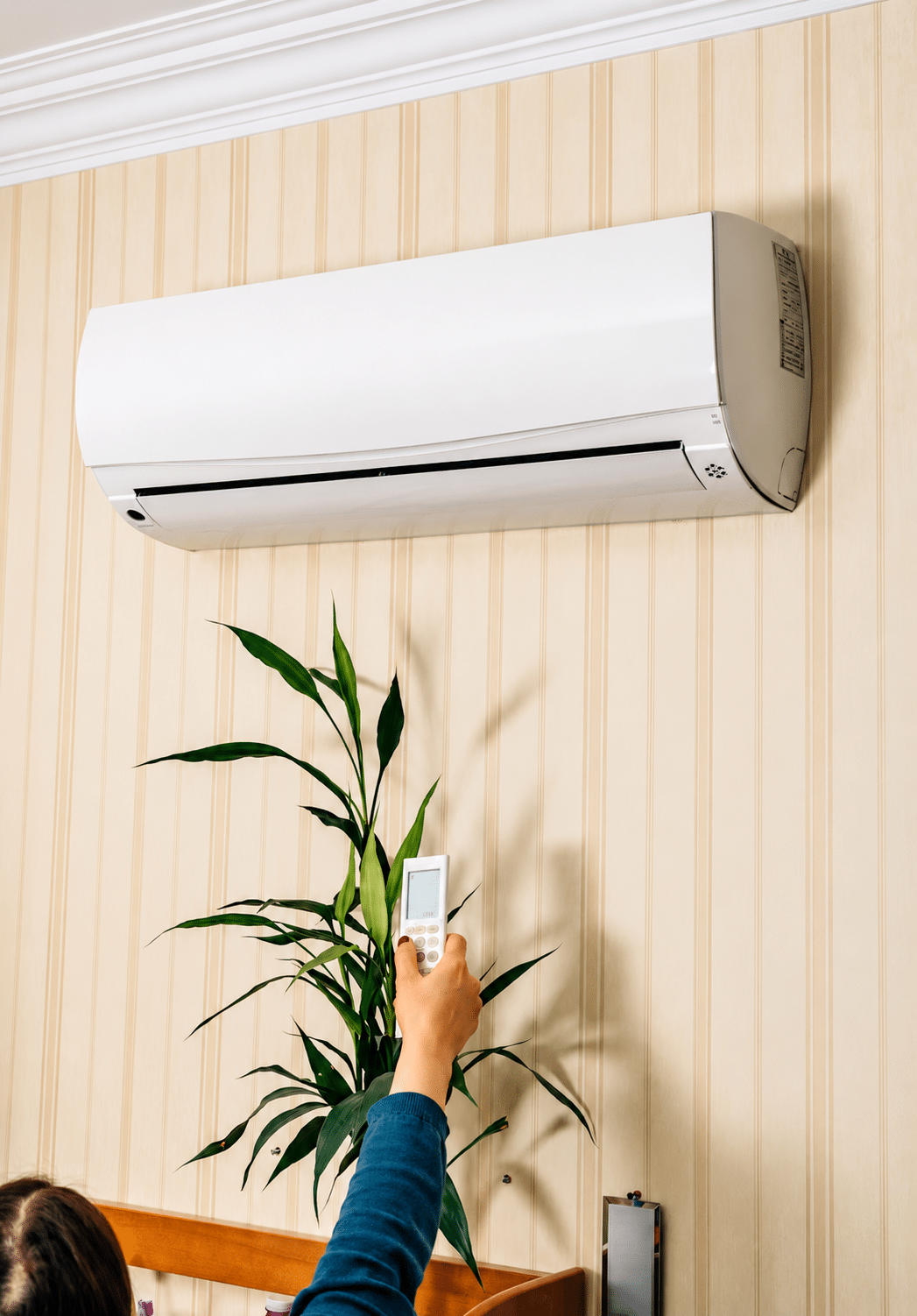 Ductless mini-split air conditioner on a living room wall
